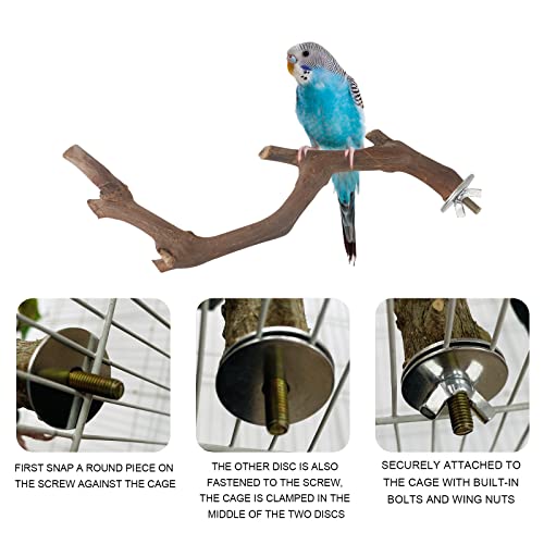 5PCS Bird Perch Stand Natural Wooden Parrot Stand Branch,3 Grape Wood Perch,2 Stand,Paw Grinding Fork Parakeet Chewing Stick Exercise Training Branches for Cockatiels,Small Medium Birds