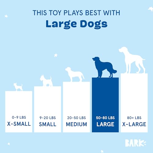 Barkbox Consuela the Cactus 2-in-1 Interactive Plush Dog Toy - Squeaky Dog Chew Toy with Crinkle Layers - for Large Dogs and Puppies