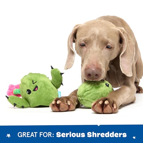 Barkbox Consuela the Cactus 2-in-1 Interactive Plush Dog Toy - Squeaky Dog Chew Toy with Crinkle Layers - for Large Dogs and Puppies