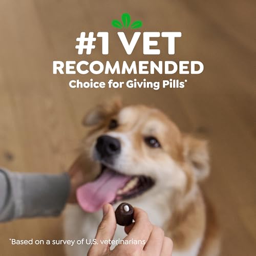 Greenies Pill Pockets for Dogs Large Size, Dog Treat Pouch for Capsule Medication, Peanut Butter Flavor, 15.8 oz. Pouch