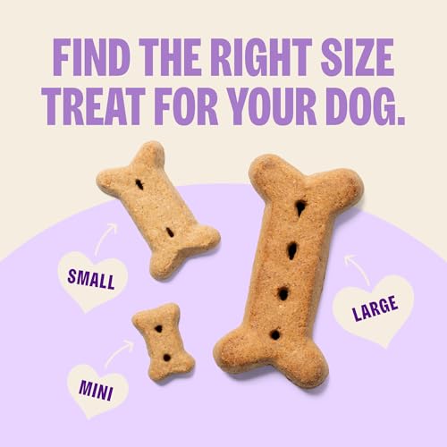 Wellness Old Mother Hubbard Classic Original Mix Dog Biscuits, Natural Training Treats, 4 Flavors, Mini Size, 3.8 lb Bag