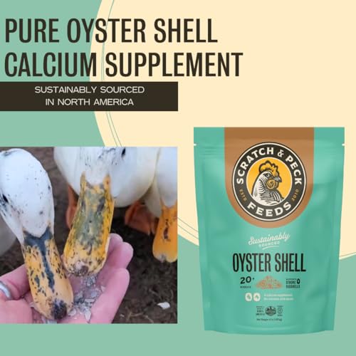 Scratch and Peck Oyster Shell Supplement - 4 lb Bag - Natural Calcium Boost for Healthy Eggshells in Chickens and Ducks, Sustainably Sourced Pure Flaked Oyster Shell
