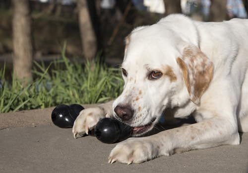 KONG - Extreme Goodie Bone - KONG's Most Durable Natural Rubber Dog Bone for Power Chewers - Black - For Medium Dogs