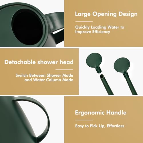 Watering Can for Indoor Outdoor Plants, Modern Small Watering Cans with Removable Nozzle, Long Spout Watering Can for Indoor Bonsai Plants Garden Flowers 1/2 Gallon 1.8L 60OZ (Dark Green)