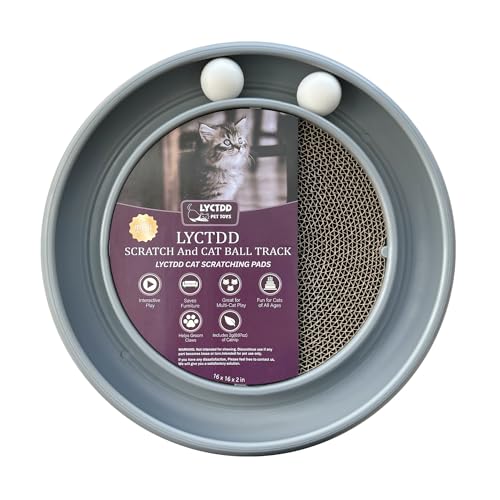 Interactive Cat Ball Track Toy for Indoor Cats, Cat Scratching Board & Exercise Set for Bored Indoor Adult and Kitten Mental & Physical Stimulation, with Spare Ball to Prevent Loss (Grey)