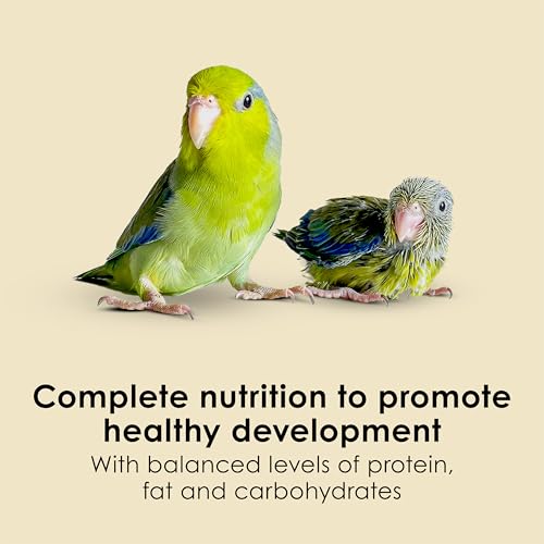 Kaytee Exact Hand Feeding Pet Bird Baby Food For Parrots, Parakeets, Lovebirds, Cockatiels, Conures, Cockatoos, and Macaws, 5 Pound