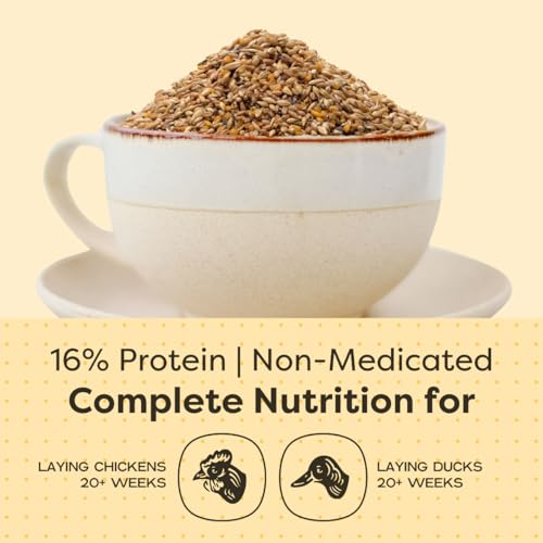 Scratch and Peck Feeds Whole Grain Layer Mash Chicken and Duck Feed - 40 lbs Bag - Corn-Free and Soy-Free - 16% Protein, Certified Organic and Non-GMO Project Verified Chicken Food