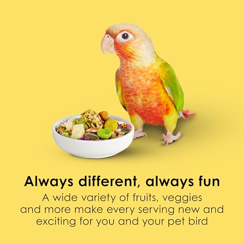 Kaytee Fiesta Conure Food, Nutritious and Fun Blend, Supports Skin, Feather, Digestion, Brain and Heart Health, 4.5 pounds