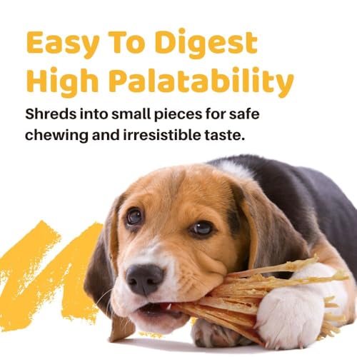 iPaw Turkey Tendons for Dogs, Single Protein, Hypoallergenic, All Natural Human Grade Puppy Chew, Rawhide Alternative Dog Treats, 1 Pack Strip (Large)