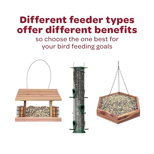 Kaytee Western Regional Wild Bird Seed, 7 lb