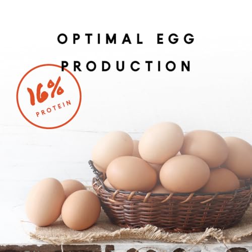 Manna Pro Chicken Feed, 16% Protein Layer Crumbles with Probiotics for Digestive Health, Complete Feed for Laying Hens to Support Egg Production, Nutrient-Rich Chicken Food, Made in USA, 8 lb Bag