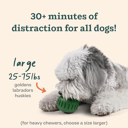 WOOF Starter Pack - Interactive Dog Ball Toy for Boredom - Dog Treat Molds Silicone - Chicken-Flavored Healthy Treats for Dogs - Pupsicle Doggy Enrichment Toy - for Large Pups - 25-75 lbs