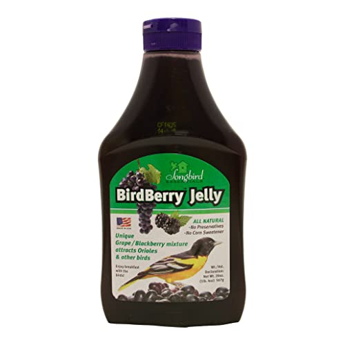 Songbird Essentials 20 Ounce BirdBerry Jelly Squeeze Bottle Bird Feeder Jelly, Grape and Blackberry Jelly Made Just for Birds [Pack of 3]