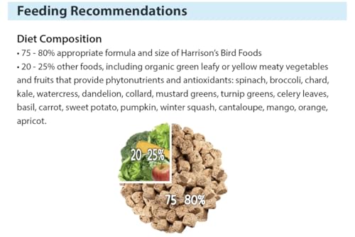 Harrison's Bird Foods Nuggies Treats - A Revolutionary High Potency Nuggets Treat Designed to Support Bird Health and Diet Transitions, 196g