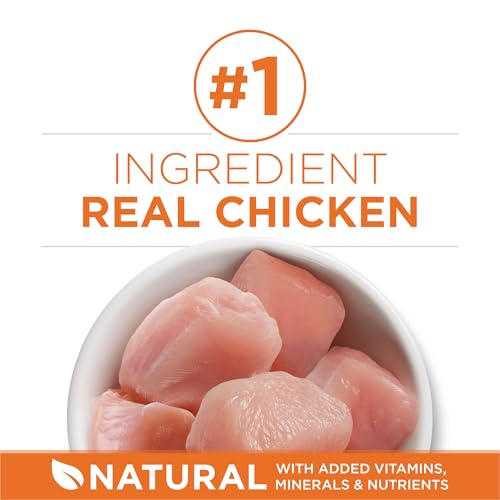 Purina ONE High Protein, Healthy Plus Ideal With Chicken Dry Cat Food Control Formula - 7 lb. Bag