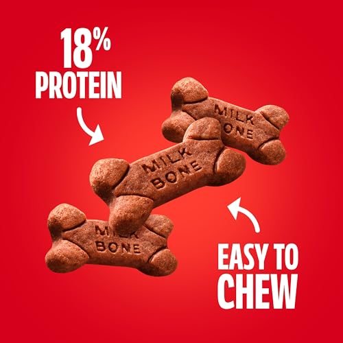 Milk-Bone Soft & Chewy Dog Treats, Made with Real Beef & Filet Mignon, 25 Ounce Canister