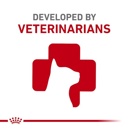 Royal Canin Feline Health Nutrition Indoor Adult & Adult Instinctive Thin Slices in Gravy and Morsels in Gravy Variety Pack Cat Food, 3 oz (Pack of 12)