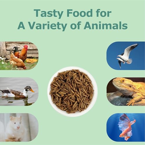 WORMSKING 5LB Dried Black Soldier Fly Larvae, More Calcium Than Dried Mealworms, High Protein Poultry Treats,Duck Food, BSFL