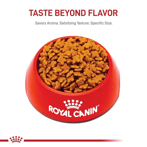 Royal Canin Size Health Nutrition Small Adult Dry Dog Food, 14 lb Bag
