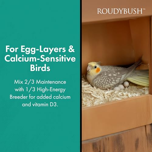 RoudyBush Daily Maintenance Bird Food, Crumbles, 44-Ounce, 2.75 lb (244CRDM)