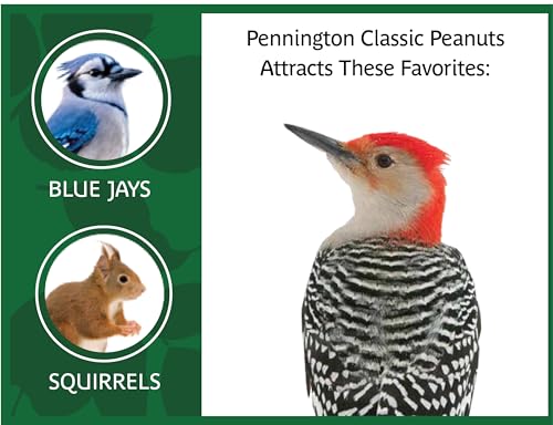 Pennington Classic Shelled Peanuts 5 pounds