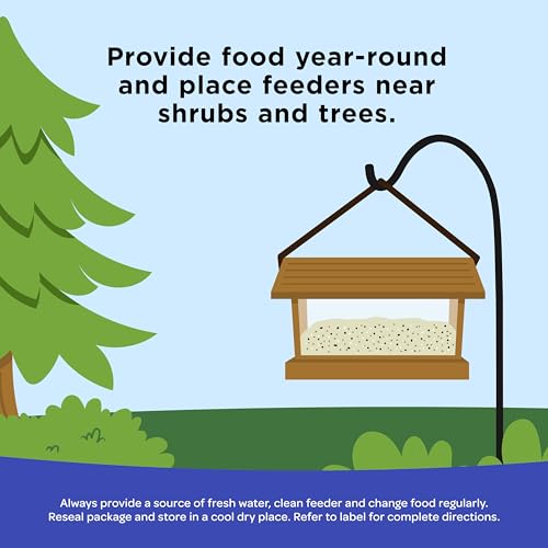 Kaytee Shelled Peanuts for Cardinals, Blue Jays, Woodpeckers and Other Outside Wild Birds, 11 Pounds