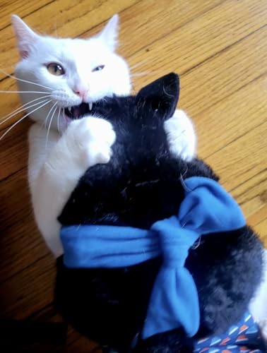 Cat Wrestling Glove Puppet – Interactive Hand Mitt with Durable Protective Sleeve and Catnip - Play & Enrichment