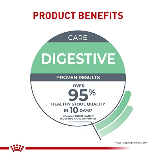Royal Canin Feline Care Nutrition Digestive Care Adult Dry Cat Food, 6 lb Bag