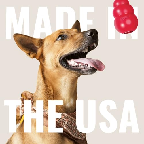 KONG - Extreme Goodie Bone - KONG's Most Durable Natural Rubber Dog Bone for Power Chewers - Black - For Medium Dogs