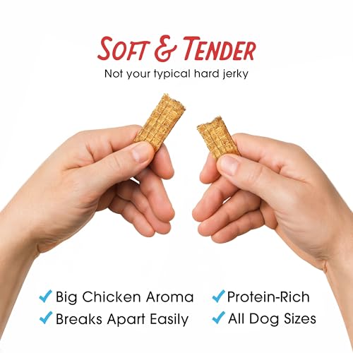 Farmland Traditions Filler Free Dogs Love Chicken Premium Jerky Treats for Dogs, 3 lb. Bag