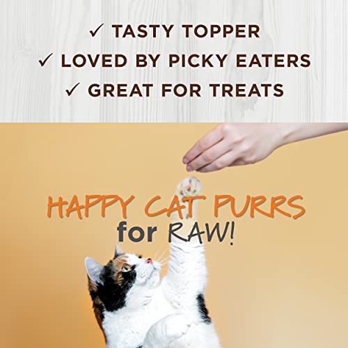 Instinct Raw Boost Mixers, Freeze Dried Cat Food Toppers with Functional Ingredients, Grain Free, Real Chicken - Digestive Health, 5.5 oz Bag