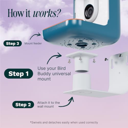 Birdbuddy Wall Mount - Versatile Bird Feeder Wall Mount for Wall & Fences - Durable, Weather-Proof Heavy Duty and Secure & Stylish Outdoor Feeder Accessory