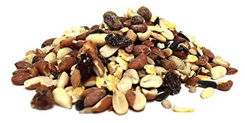 Lyric Fruit and Nut Wild Bird Seed - High Energy Wild Bird Food Mix - Attracts Woodpeckers, Chickadees & Other Songbirds -20 lb. Bag