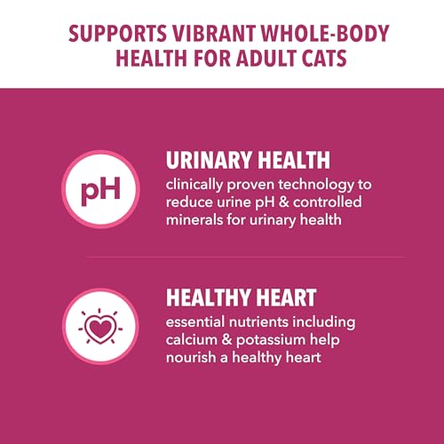 IAMS Proactive Health Dry Cat Food, Urinary Tract Health, Adult Cat Food Dry Recipe with Chicken, 7 lb. Bag