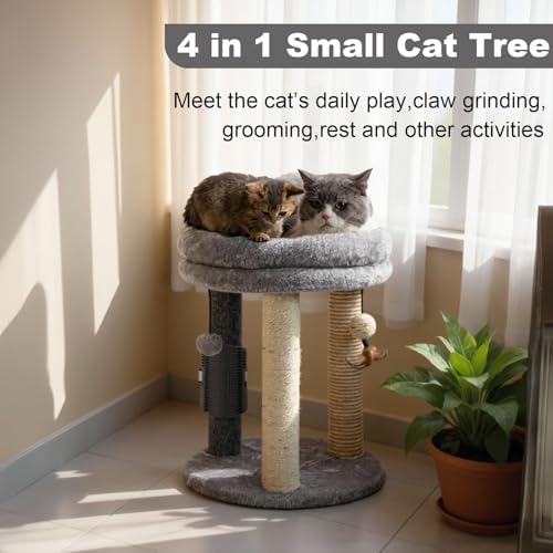 MECOOL 4in1 Small Cat Tree,Scratching Post with Tower Soft Bed, Sisal Carpet Jute Posts with Three Hanging Ball Toys and Massage Brush for Indoor Cats and Kittens