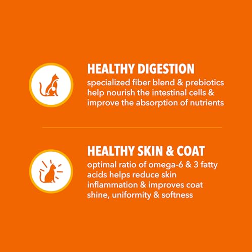 IAMS Proactive Health Dry Cat Food, Healthy Cat Food Dry Recipe for Adults, Salmon, 7 lb. Bag