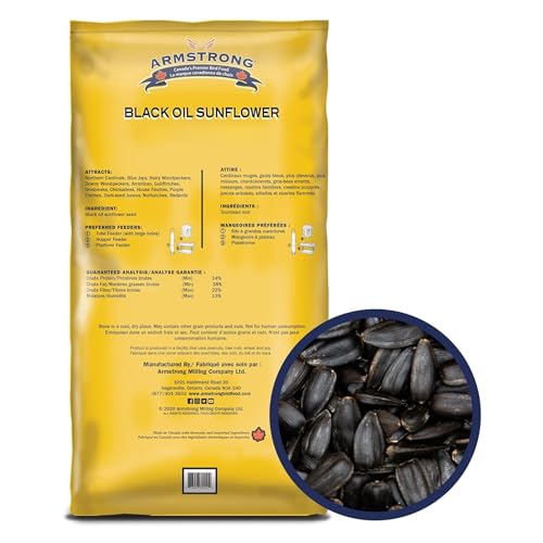 Armstrong Wild Bird Food Black Oil Sunflower Bird Seed, 25 Pounds - for Northern Cardinals, Blue Jays and Hairy Woodpeckers - Ideal for Outside Feeders