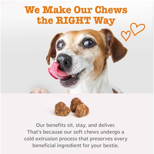 Zesty Paws Allergy Immune Bites - Dog Allergy Chews, Dog Probiotics for Itchy Skin and Ears, Peanut Butter, 90ct