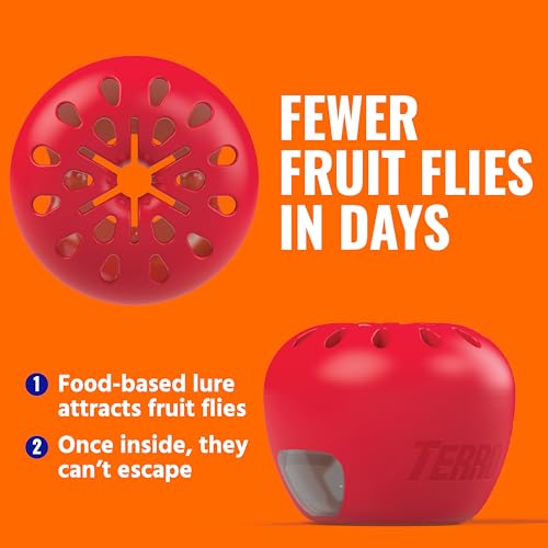 TERRO Fruit Fly Traps for Indoors (4 Pack) + 180 Days of Lure Supply - T2503SR - Lure and Kill Indoor Fruit Flies Near Fruit, Trash Cans, Countertops - Ready to Use Trap - 180 Day Supply