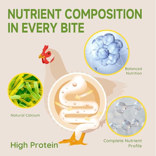 5LB Non-GMO Dried Black Soldier Fly Larvae for Chickens 45% Protein High Calcium Chicken Feed Alternative to Mealworms, Dried BSF Larvae Chicken Treats for Laying Hens Ducks Birds Reptiles