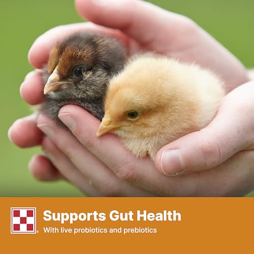 Purina Start and Grow | Non-Medicated Chick Feed Crumbles | Nutritionally Complete - 5 Pound (5 lb) Bag