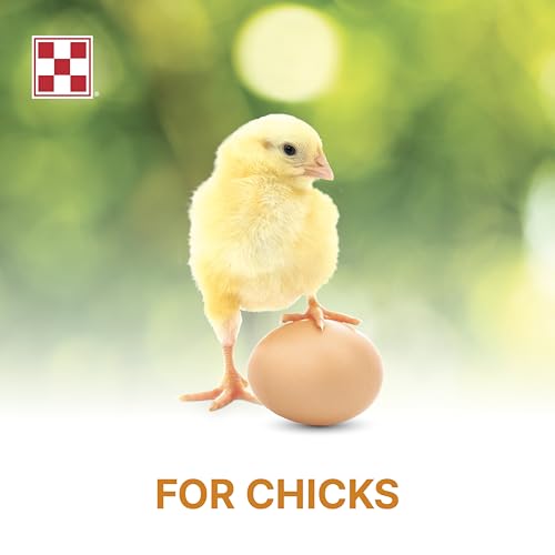 Purina Start and Grow | Non-Medicated Chick Feed Crumbles | Nutritionally Complete - 5 Pound (5 lb) Bag