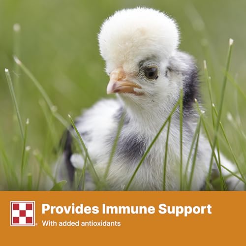 Purina Start and Grow | Non-Medicated Chick Feed Crumbles | Nutritionally Complete - 5 Pound (5 lb) Bag