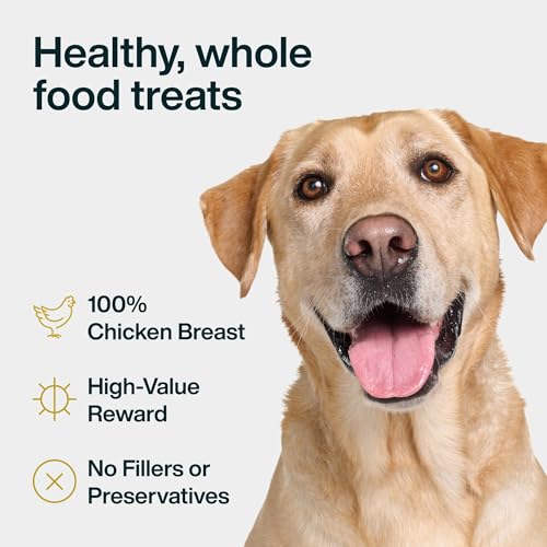 Just Food for Dogs Single Ingredient Healthy Dog Treats and Dog Snacks, Jerky Treats, Human Grade, Preservative and Grain Free, Rawhide Free Chews, Low Calorie Treat - Chicken Breast, 5 oz