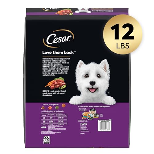 Cesar Small Breed Dry Dog Food for Small Dogs, Filet Mignon Flavor and Spring Vegetables Garnish, 12 lb Bag