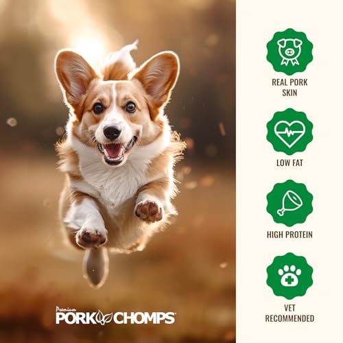 Pork Chomps Roasted Pork Skin Dog Chews, 6 Inch Rib Shapes, 10 Count, Pack of 1 - Long-Lasting Treats for Dogs - High Protein, Rawhide-Free, Low Fat, Healthy & Delicious Chews
