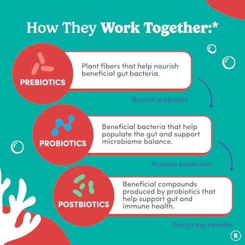 FIRST DAY Toddler Tribiotic Gummies (Ages 2-3) | Kids Probiotic Gummies | 3 in 1 Pre + Pro + Postbiotics for Kids Digestive & Immune Health - Kiwi, 60 Counts (30 Days Supply)