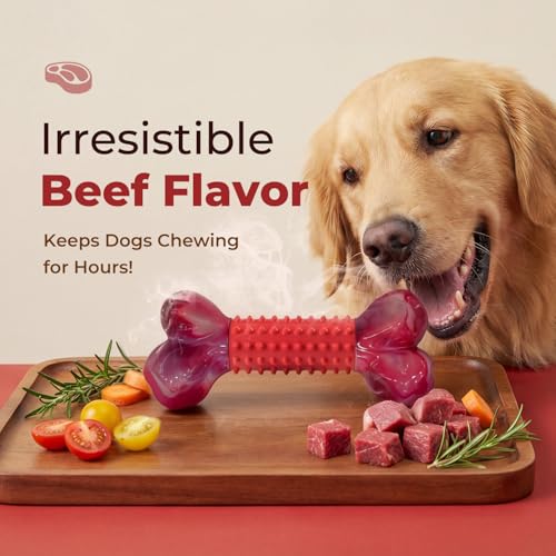 Tough Dog Toys for Aggressive Chewers: Beef Flavored Long Lasting Dog Bones for Large Dogs, Indestructible Dog Chew Toys to Keep Them Busy, Large Dog Toys for Medium & Large Breed, Red