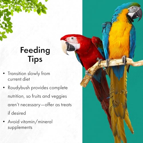 RoudyBush Daily Maintenance Bird Food, Crumbles, 44-Ounce, 2.75 lb (244CRDM)