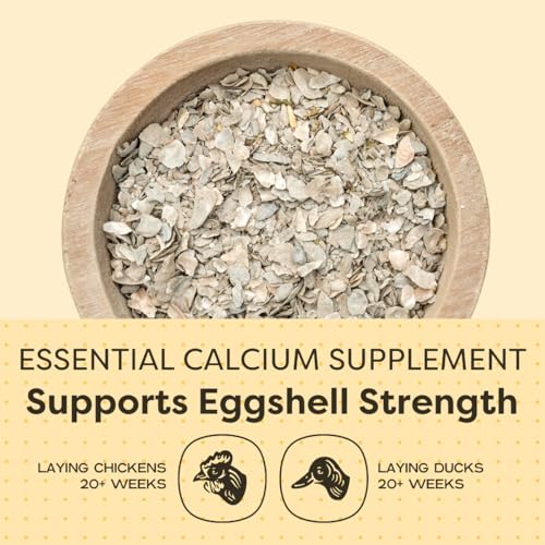 Scratch and Peck Oyster Shell Supplement - 4 lb Bag - Natural Calcium Boost for Healthy Eggshells in Chickens and Ducks, Sustainably Sourced Pure Flaked Oyster Shell